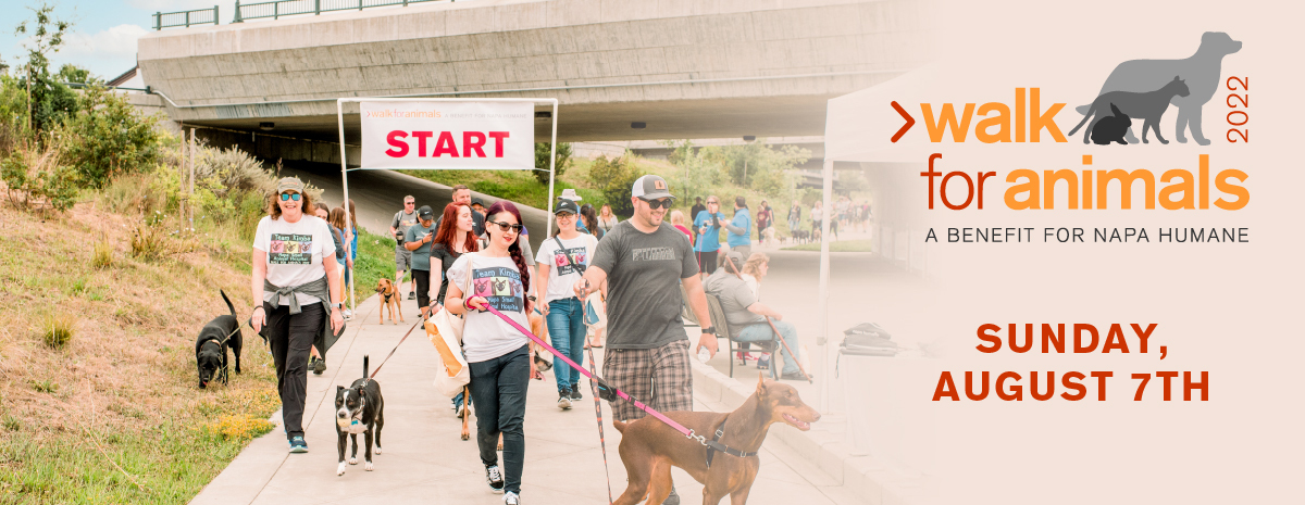 Napa Humane's 11th Annual Walk for Animals